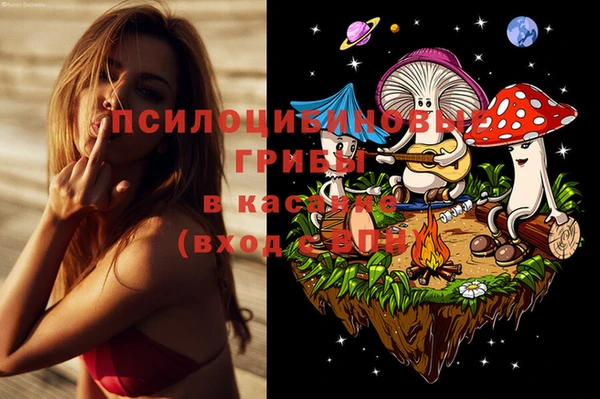 индика Липки