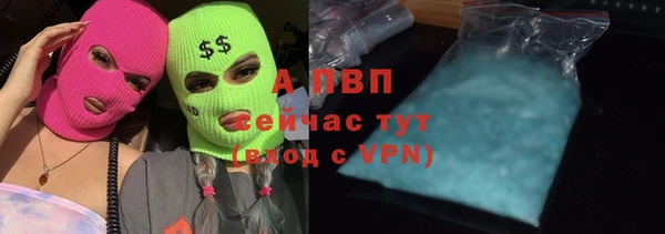 твердый Лиски