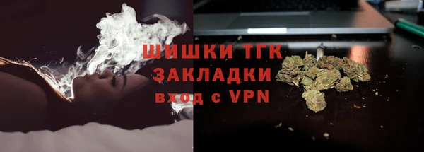 индика Липки
