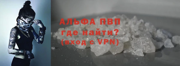 индика Липки