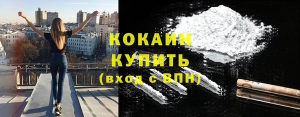 дурь Магас