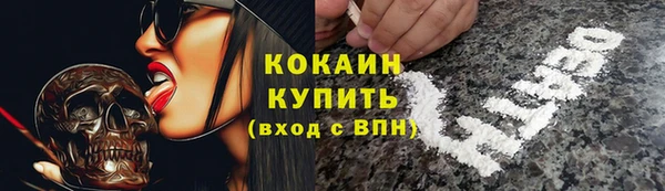индика Липки