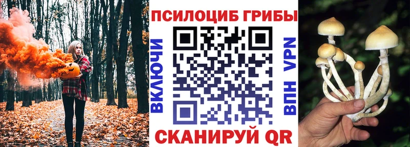 Псилоцибиновые грибы Cubensis  Купить  Миньяр 